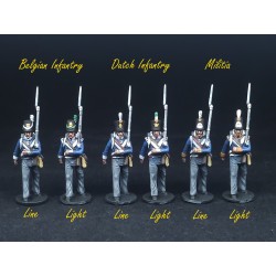 Belgian Line Infantry and...