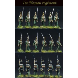 Nassau Line Infantry...